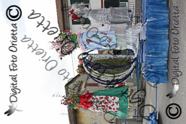IMG_7671.jpg