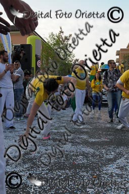 _ALE5168.jpg