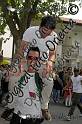 _ALE4252
