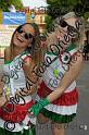 _ALE4286
