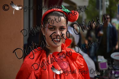 DSC_1500.jpg