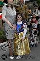 _LUC0381