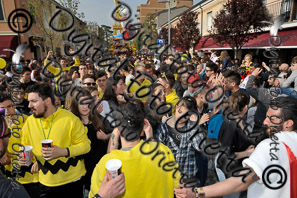 ALE1506.jpg