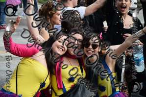 DSC_0211.jpg