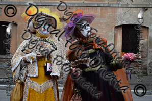 DSC_0030.jpg