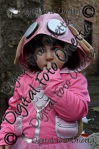 DSC_0062.jpg