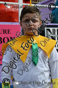 DSC_0065.jpg