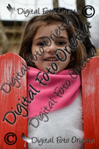 DSC_0220.jpg
