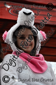 DSC_0241.jpg