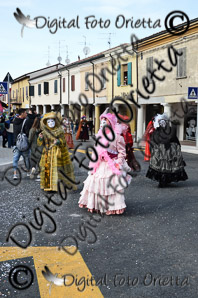 DSC_0370.jpg
